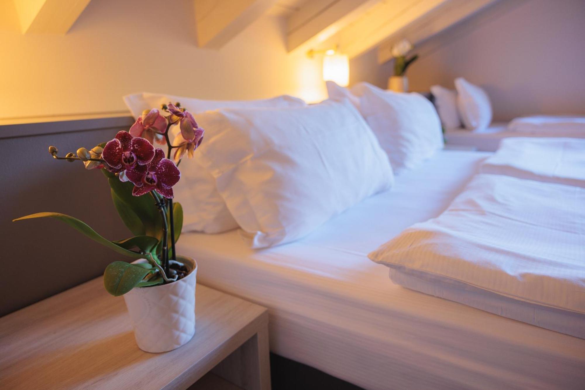 Hotel Binelli Pinzolo Eksteriør bilde