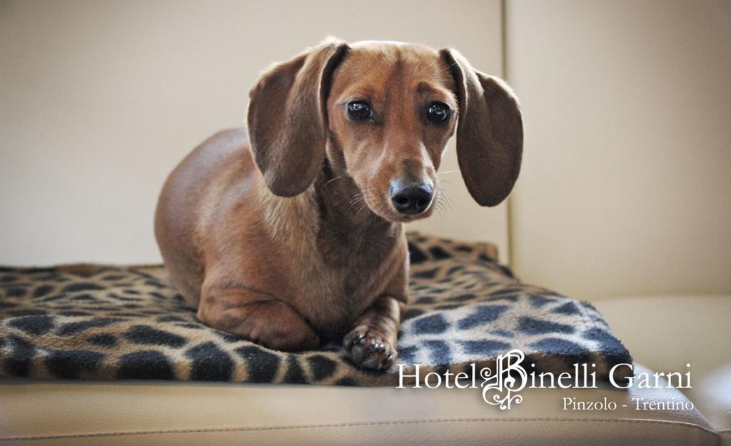Hotel Binelli Pinzolo Eksteriør bilde